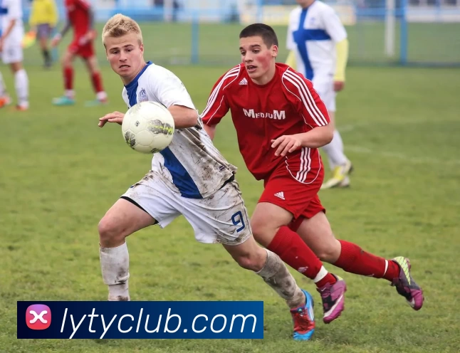 App Interface Preview